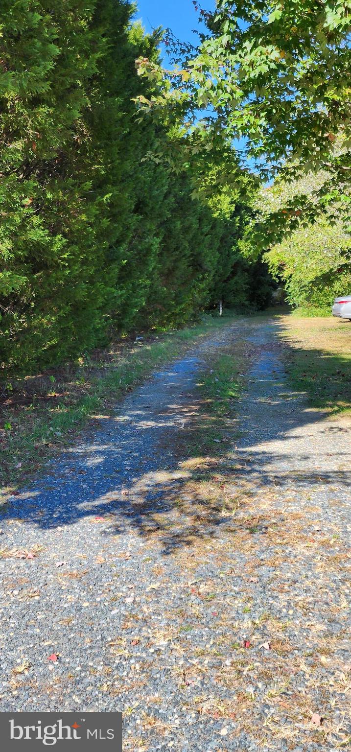 29246 Alms House Road Trappe, MD 21673 - Photo 48 of 53 Gallery Image 48