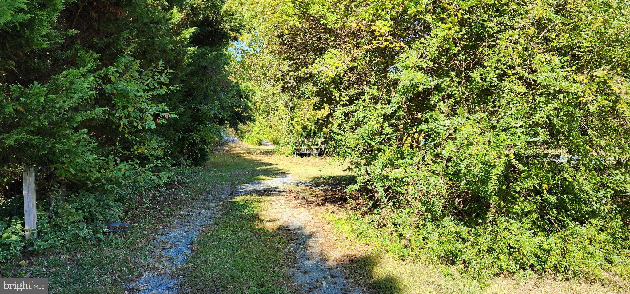 29246 Alms House Road Trappe, MD 21673 - Photo 50 of 53 Gallery Image 50