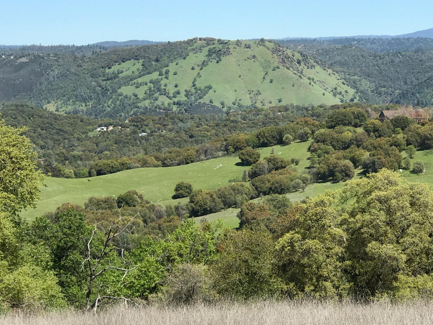 5080 Thompson Hill Road Placerville, CA 95667 - Photo 11 of 37 an aerial view of a house with a yard