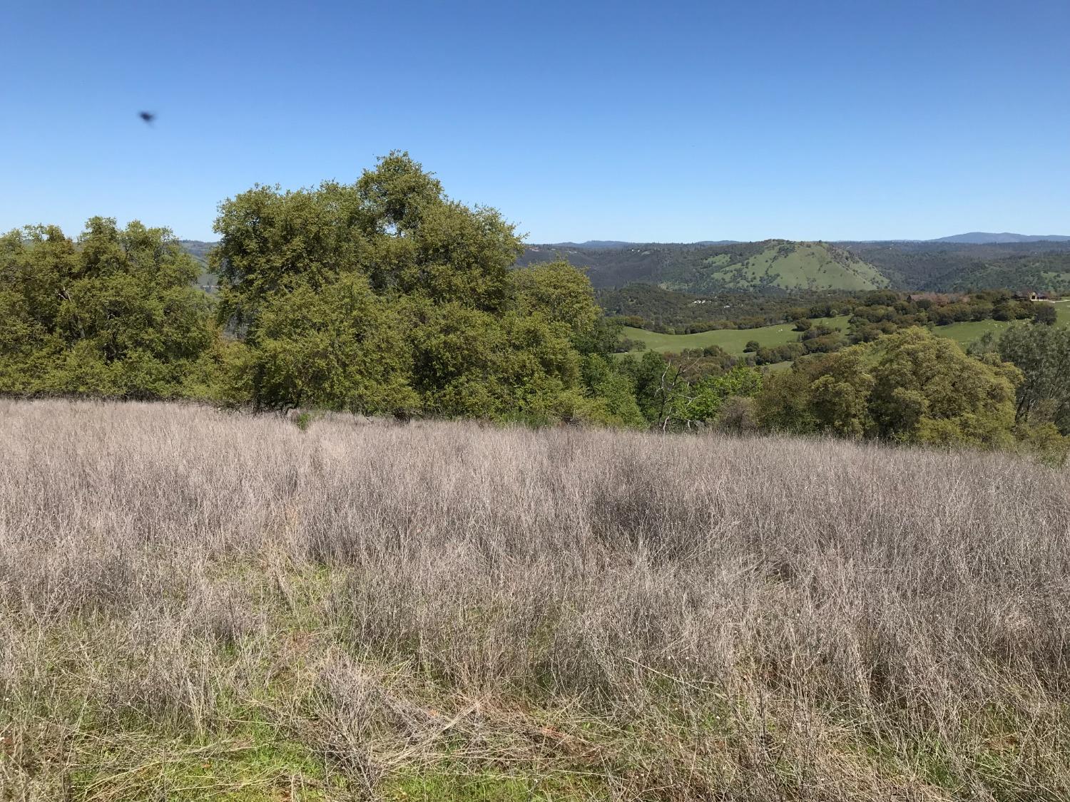 5080 Thompson Hill Road Placerville, CA 95667 - Photo 24 of 37 a view of a field