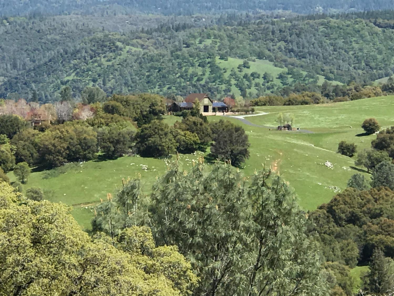5080 Thompson Hill Road Placerville, CA 95667 - Photo 27 of 37 an aerial view of green landscape with trees