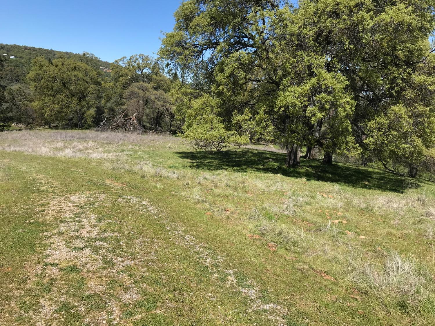 5080 Thompson Hill Road Placerville, CA 95667 - Photo 32 of 37 a view of a yard with a tree