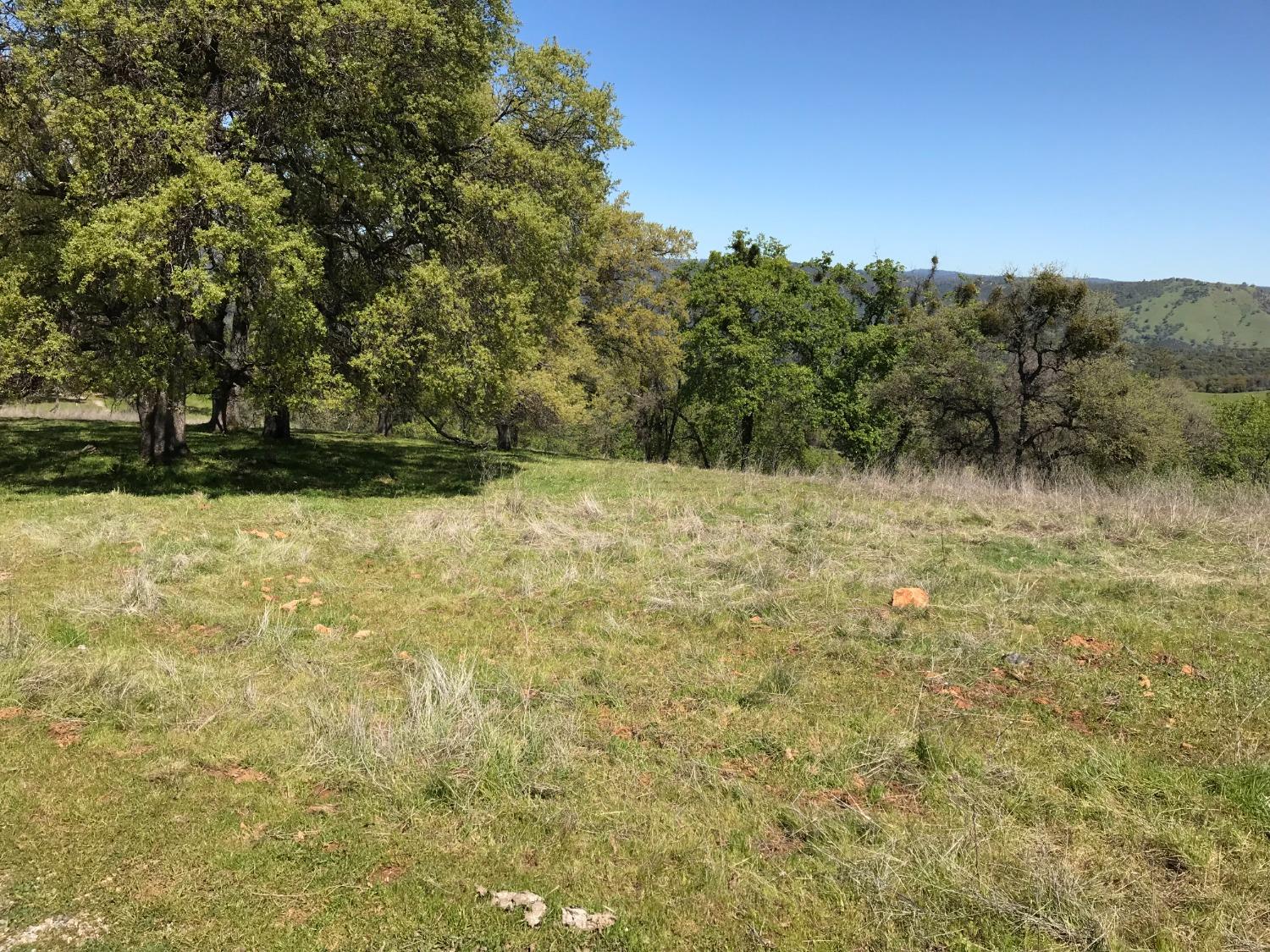 5080 Thompson Hill Road Placerville, CA 95667 - Photo 33 of 37 a view of a yard with a tree