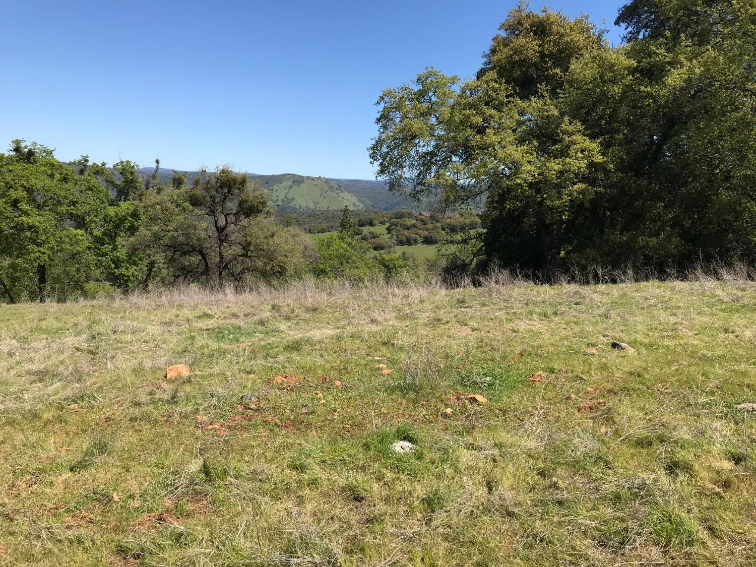 5080 Thompson Hill Road Placerville, CA 95667 - Photo 34 of 37 a view of a yard with a tree