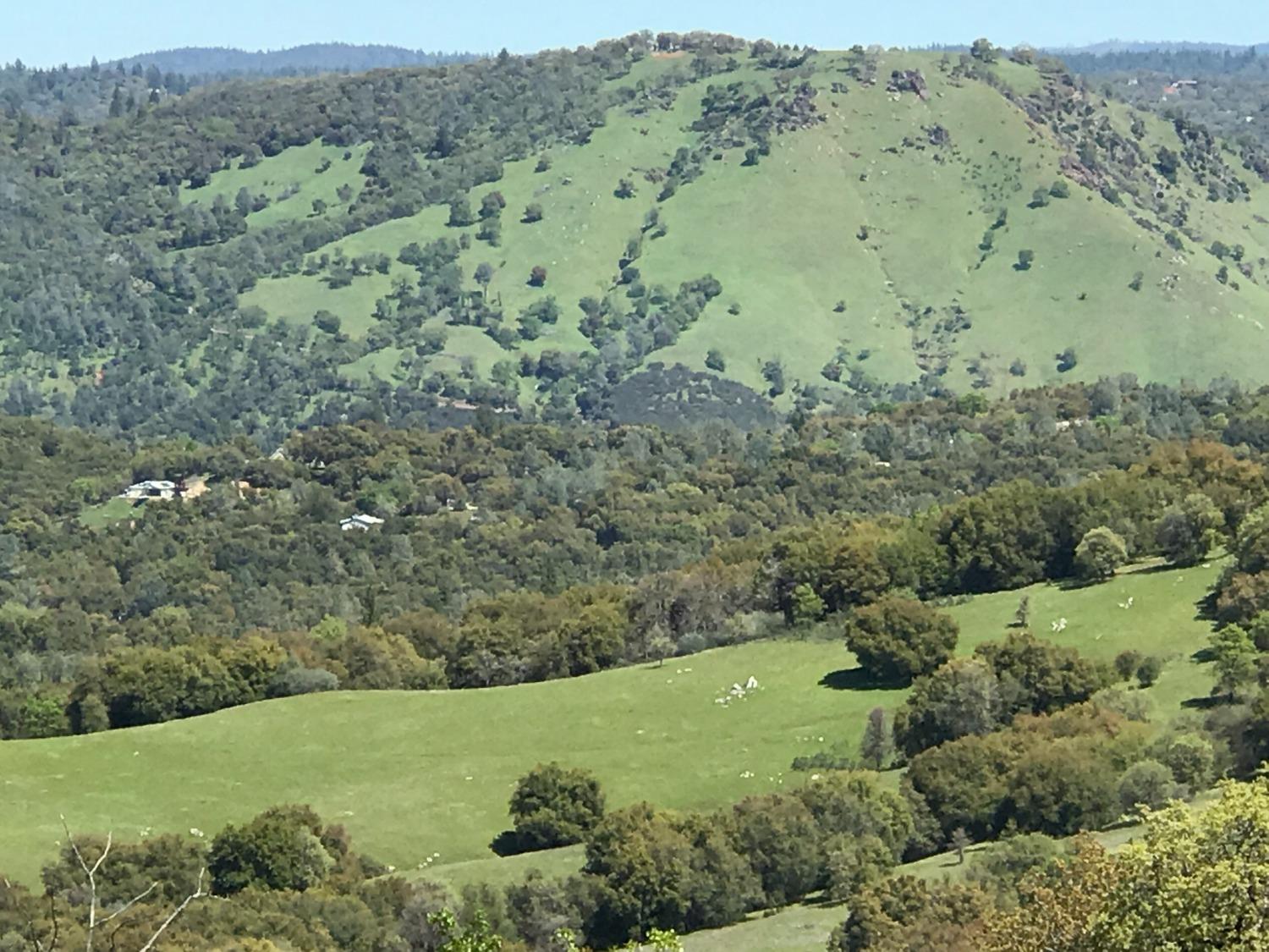 5080 Thompson Hill Road Placerville, CA 95667 - Photo 4 of 37 a view of a field with a tree in the background