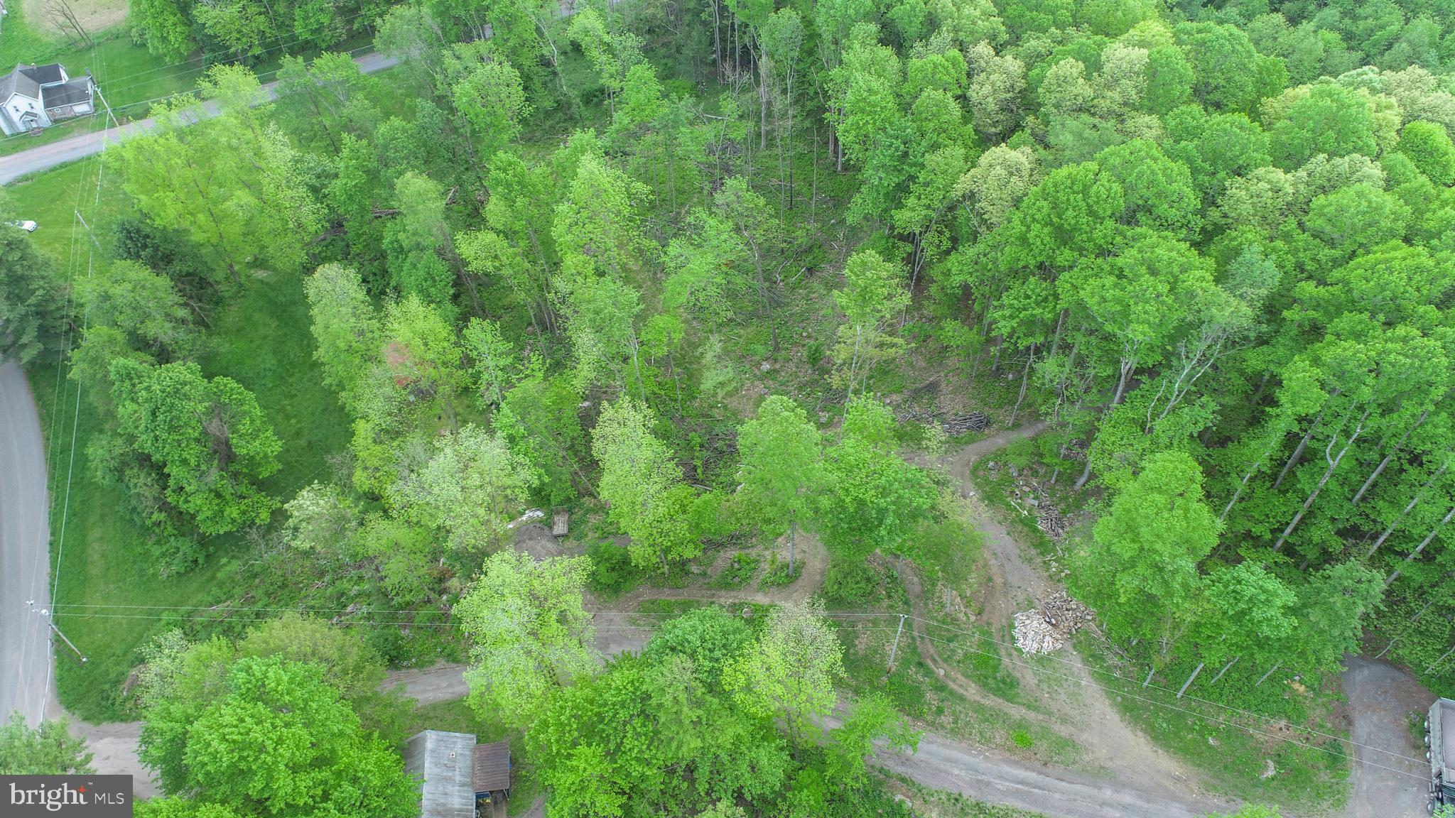 Greengables Road Friendsville, MD 21531 - Photo 18 of 18 a view of a lush green forest