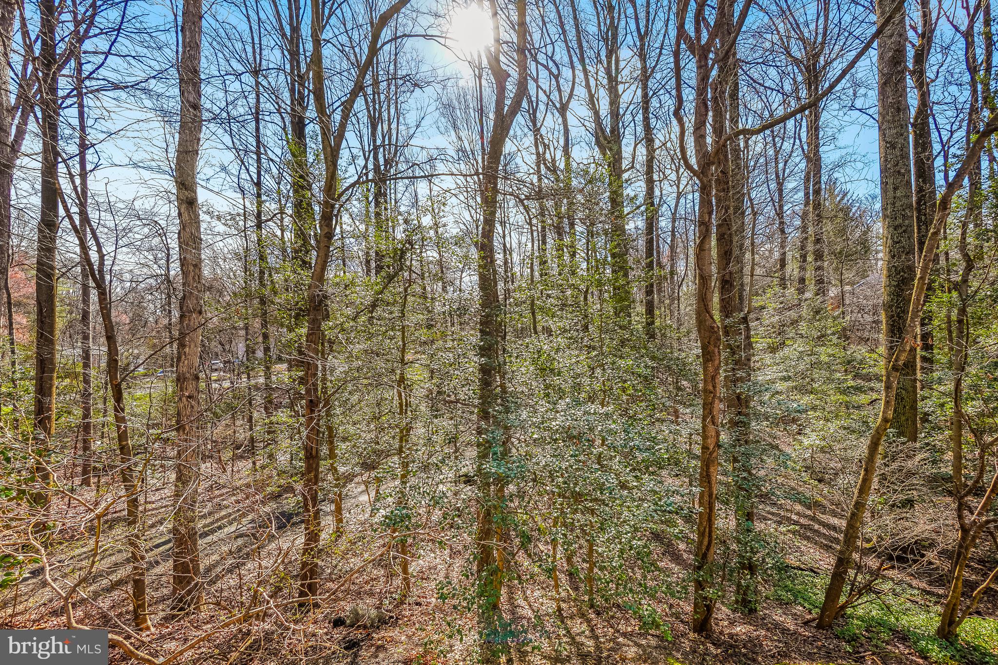 2315 Glade Bank Way Reston, VA 20191 - Photo 18 of 52