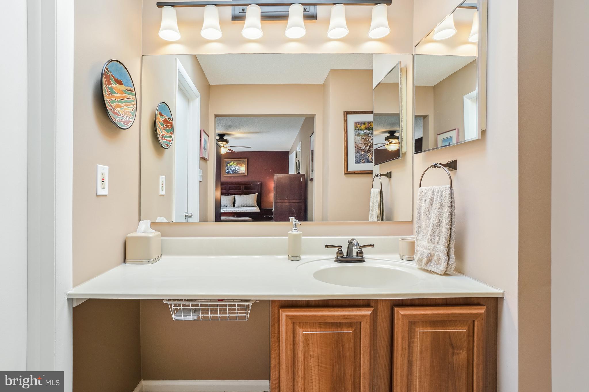 2315 Glade Bank Way Reston, VA 20191 - Photo 27 of 52 a bathroom with a sink and a mirror