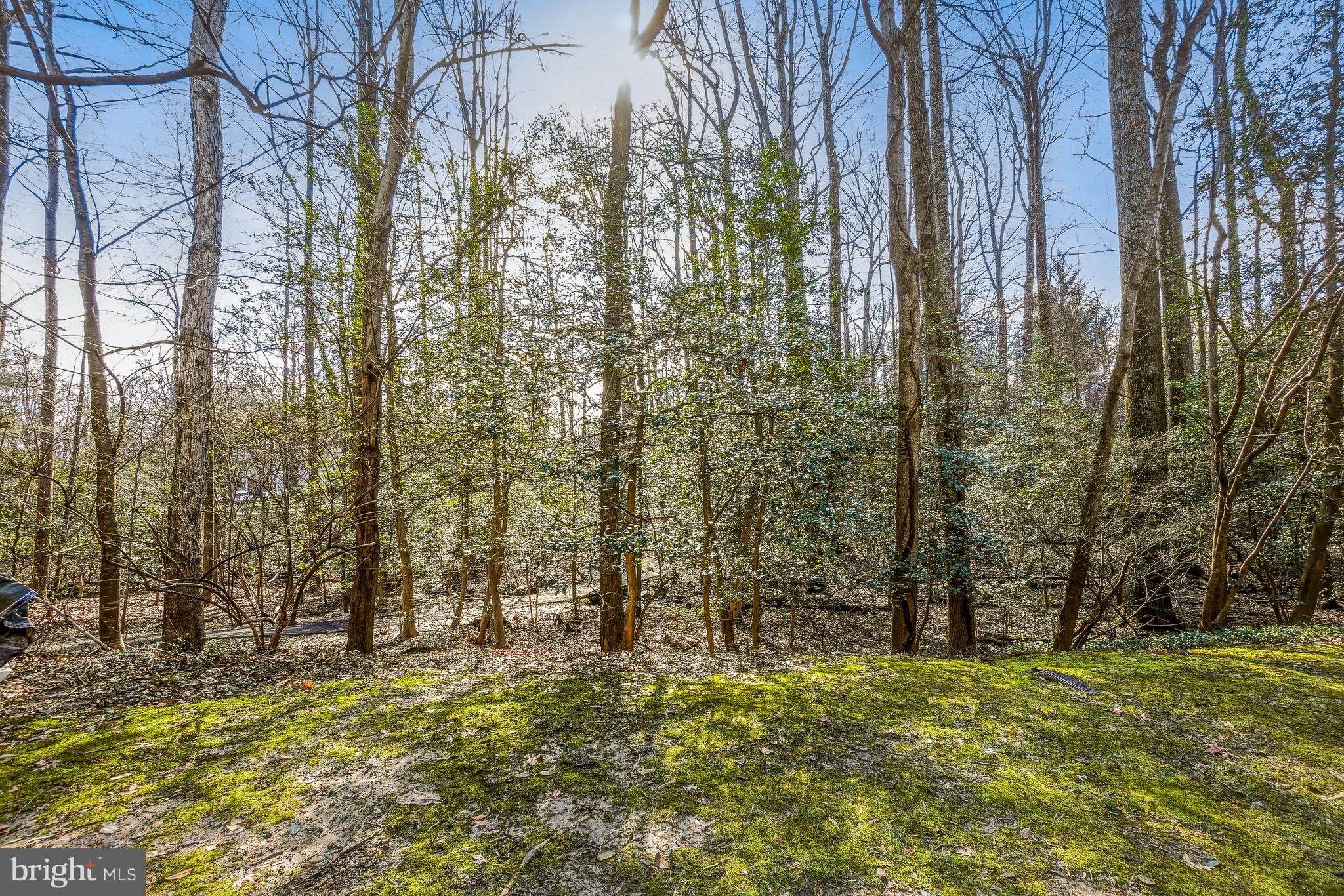 2315 Glade Bank Way Reston, VA 20191 - Photo 42 of 52 a view of outdoor space and a yard