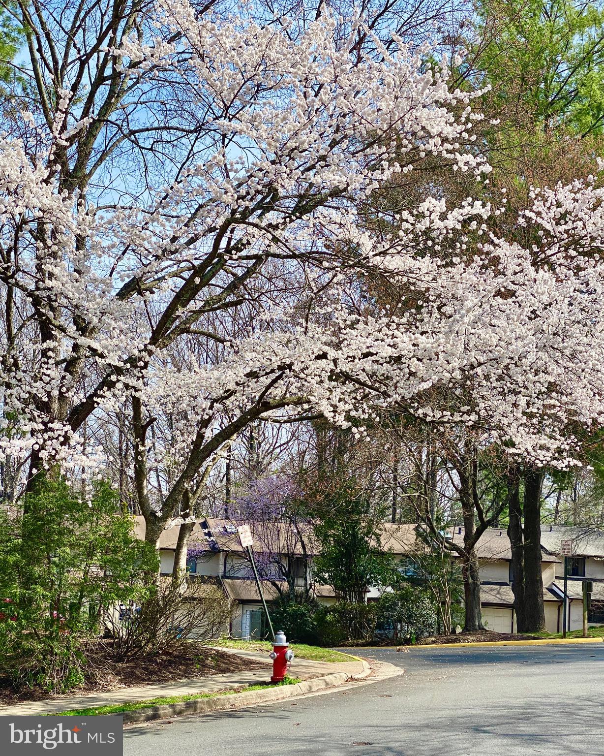 2315 Glade Bank Way Reston, VA 20191 - Photo 49 of 52