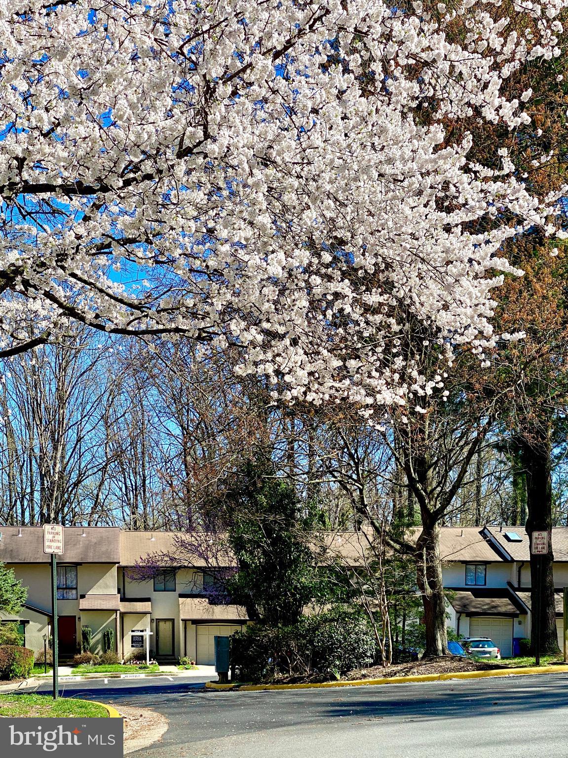 2315 Glade Bank Way Reston, VA 20191 - Photo 51 of 52