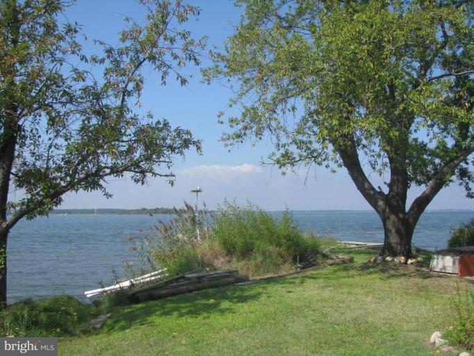 1027 Long Point Road Grasonville, MD 21638 - Photo 2 of 27 a view of a yard with a tree