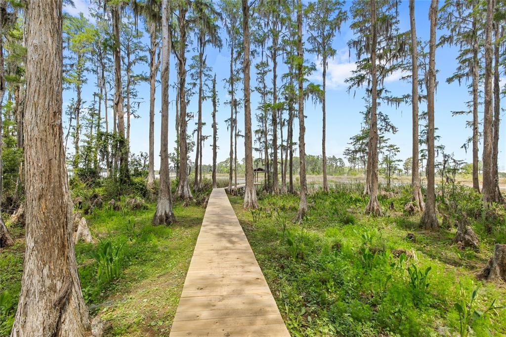 7907 Florida Boys Ranch Road Groveland, FL 34736 - Photo 56 of 80 Gallery Image 56