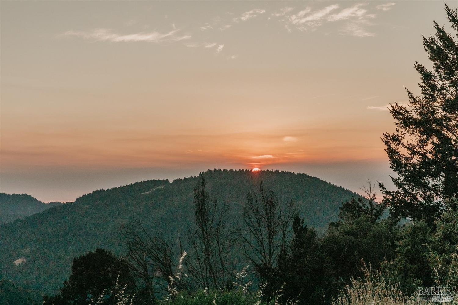 49100 Wickersham Road Geyserville, CA 95441 - Photo 17 of 98 a view of a lush green space with sea