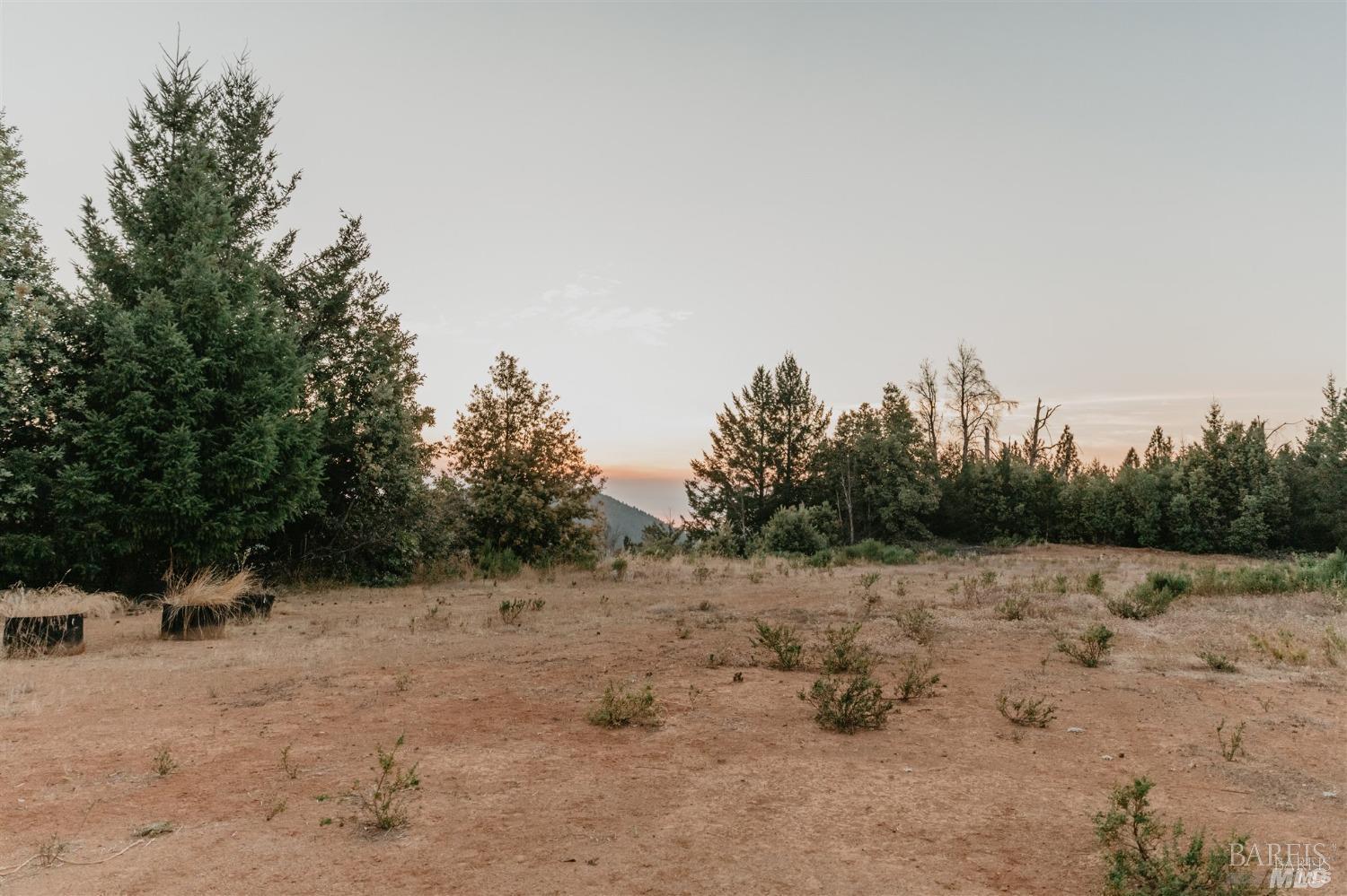 49100 Wickersham Road Geyserville, CA 95441 - Photo 18 of 98 a view of a dry yard with trees