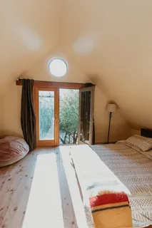 a view of a plants with flower garden