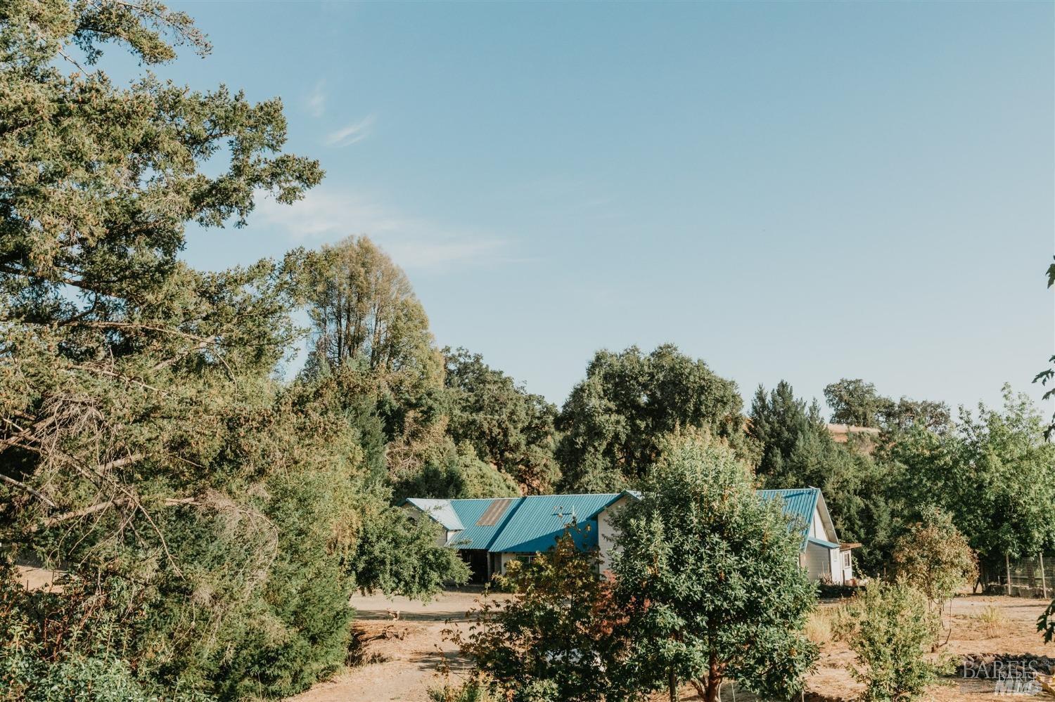 49100 Wickersham Road Geyserville, CA 95441 - Photo 38 of 98 a view of a yard