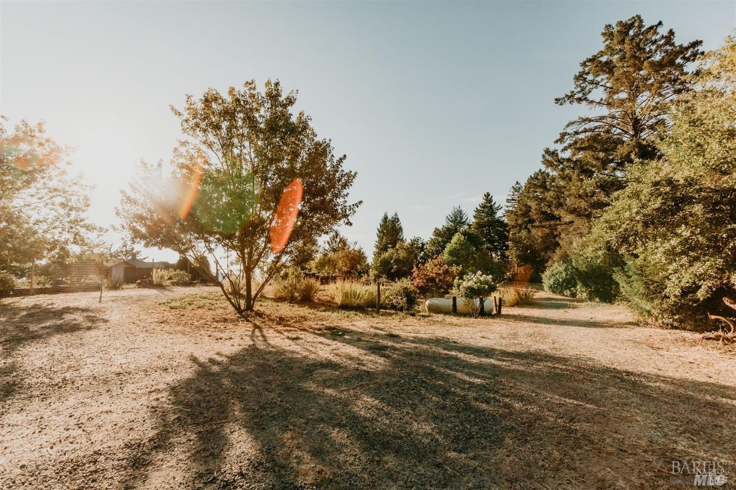 49100 Wickersham Road Geyserville, CA 95441 - Photo 44 of 98 a view of a yard with a tree