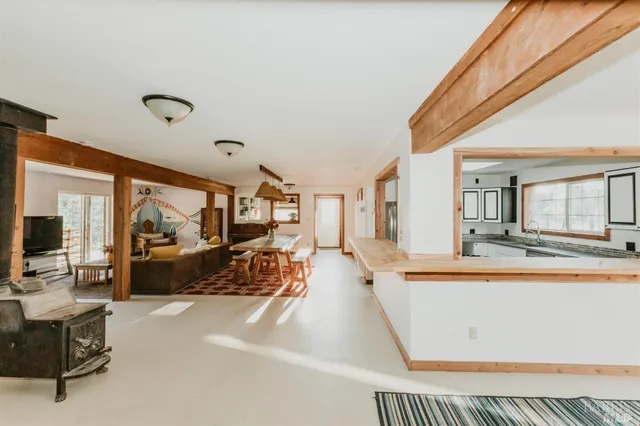 a view of a forest with trees in the background