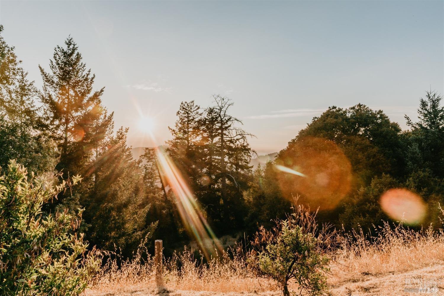 49100 Wickersham Road Geyserville, CA 95441 - Photo 7 of 98