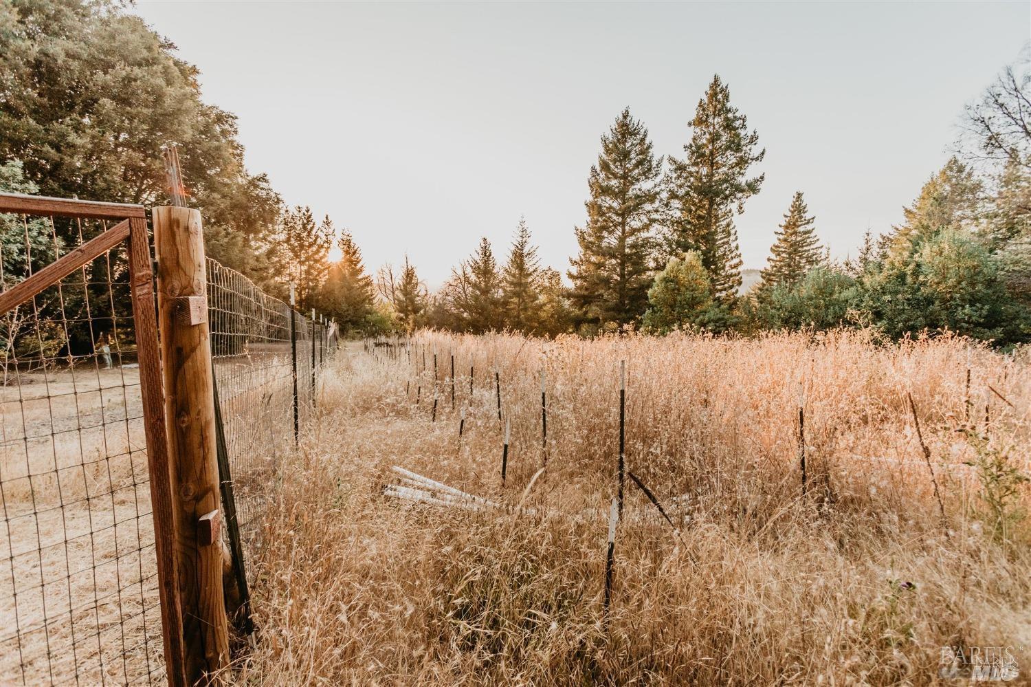 49100 Wickersham Road Geyserville, CA 95441 - Photo 80 of 98