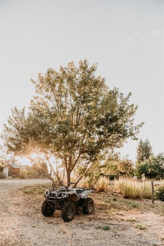a view of a plant with a plant