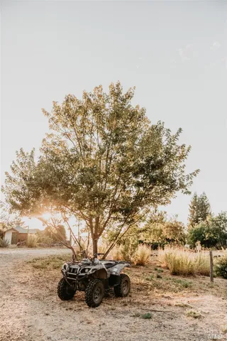 a view of a plant with a plant