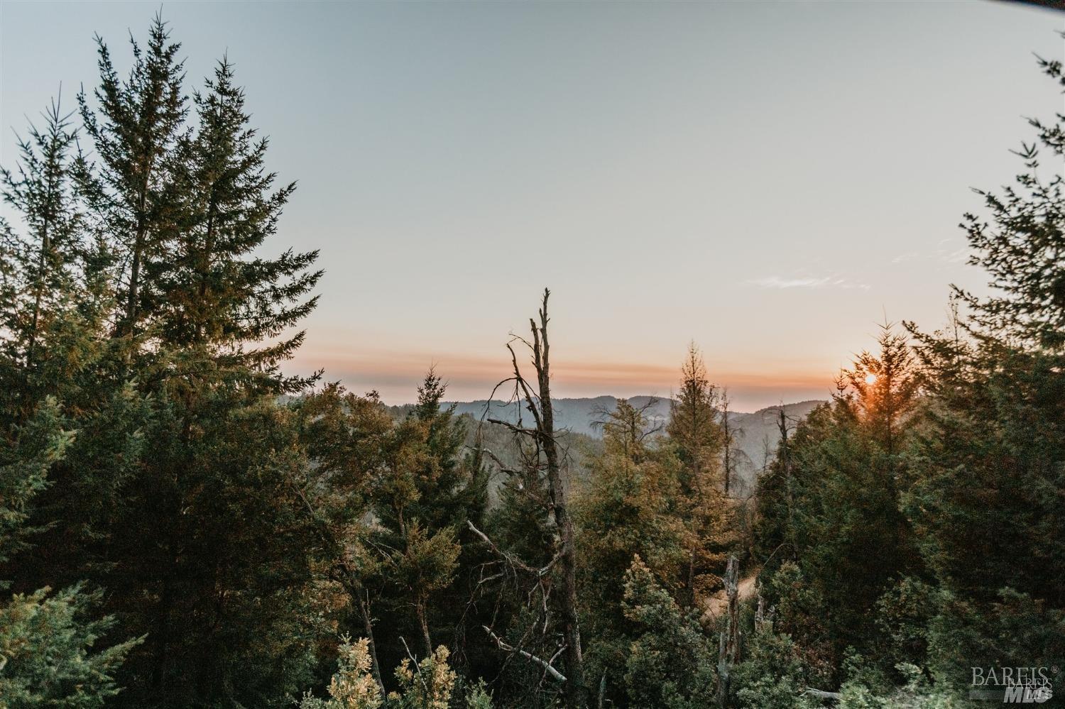 49100 Wickersham Road Geyserville, CA 95441 - Photo 87 of 98 a view of a city with tall trees