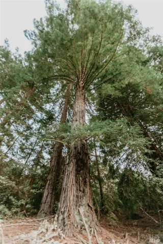 $995,000 | 49100 Wickersham Road, Geyserville, CA 95441