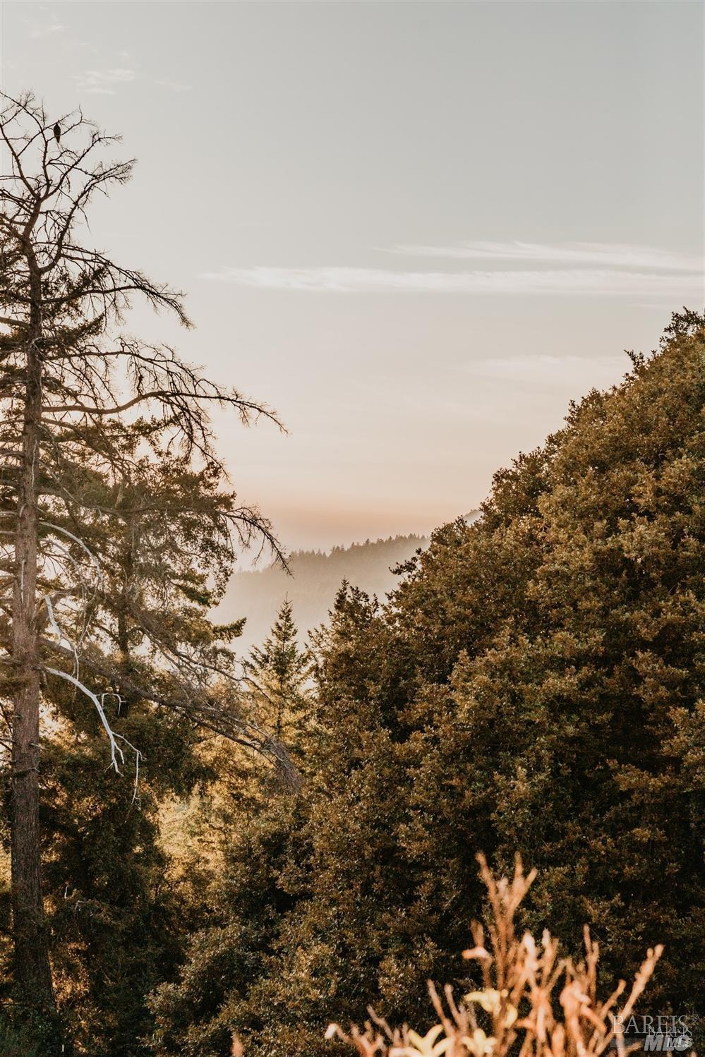 49100 Wickersham Road Geyserville, CA 95441 - Photo 9 of 98