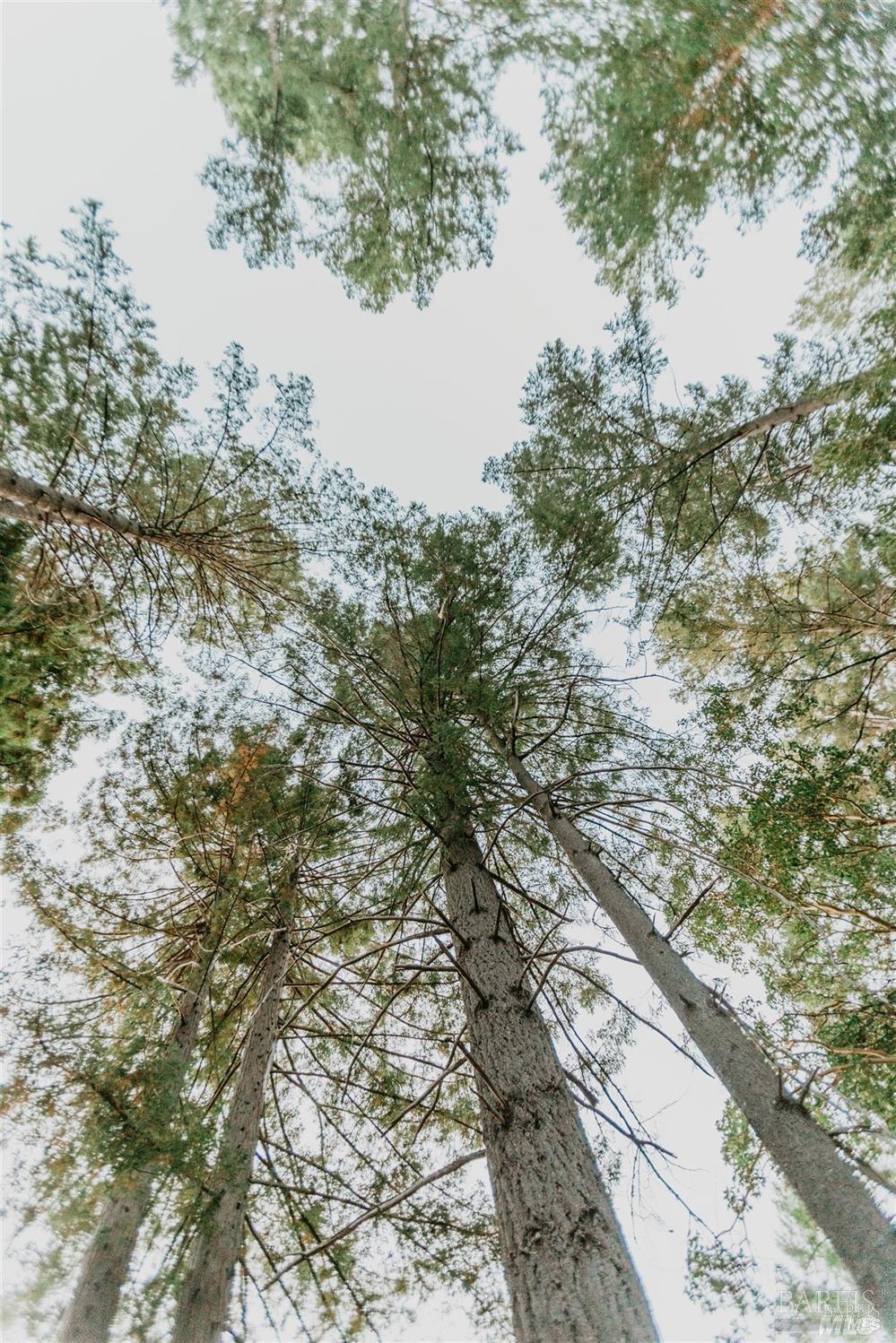 49100 Wickersham Road Geyserville, CA 95441 - Photo 91 of 98