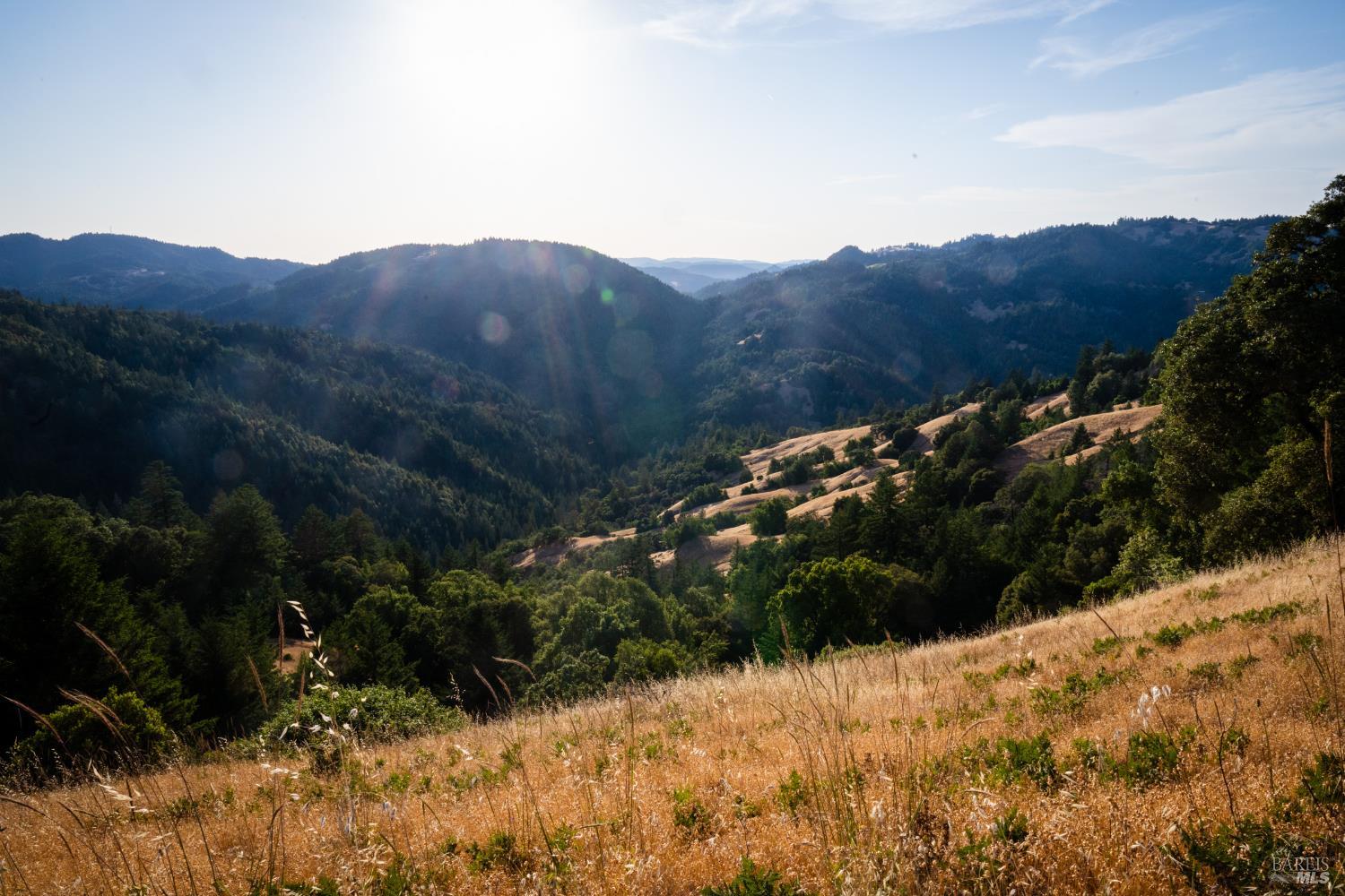 49100 Wickersham Road Geyserville, CA 95441 - Photo 97 of 98 a view of a mountain in the distance in a field
