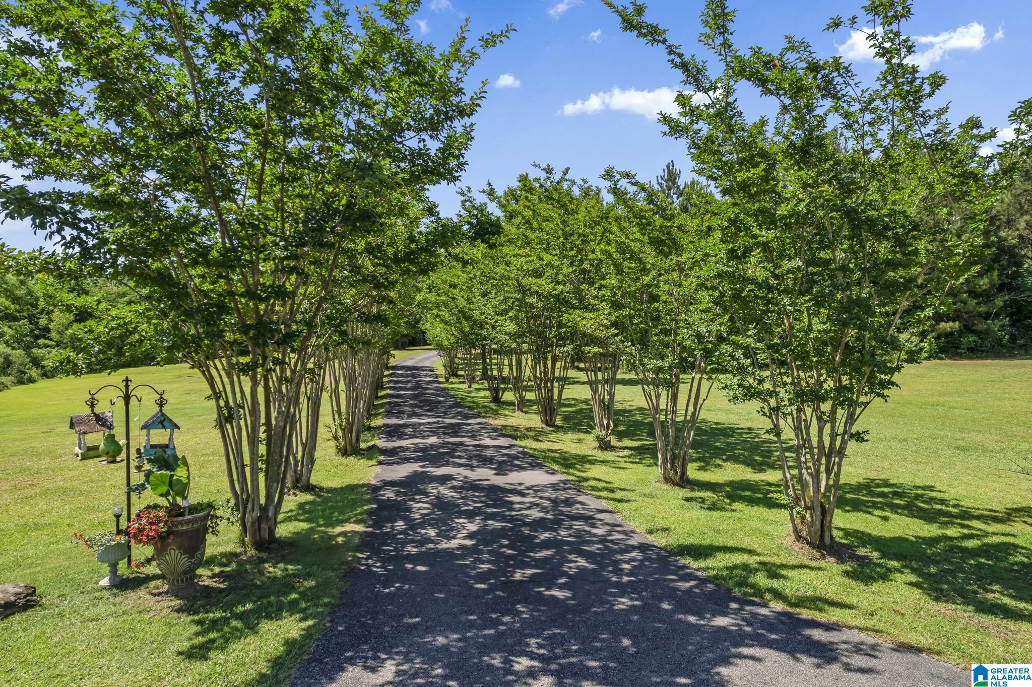 1939 Mountain View Road Cordova, AL 35550 - Photo 41 of 50