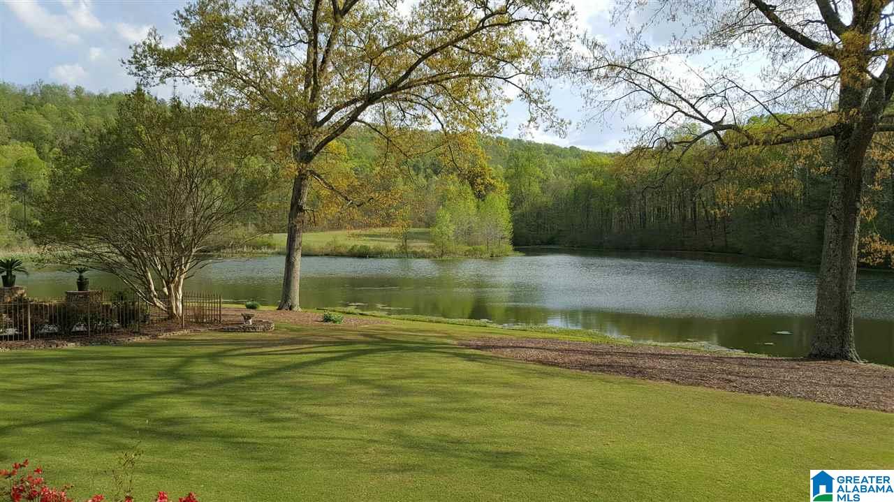 4004 Highway 132 Oneonta, AL 35121 - Photo 38 of 49