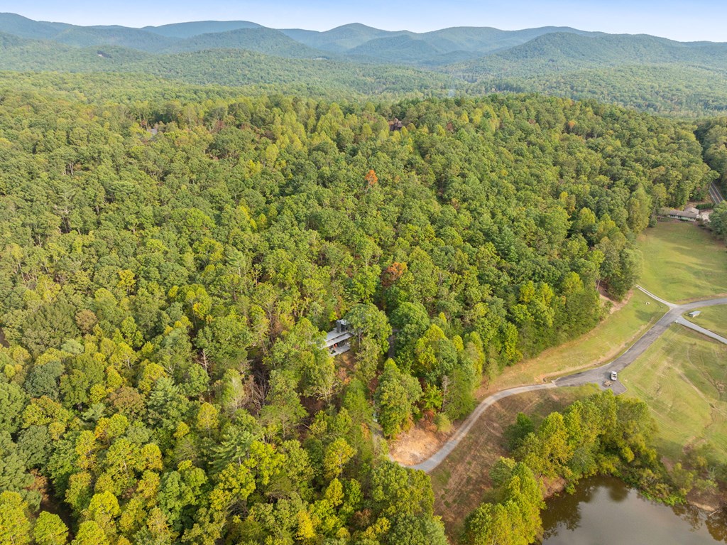 108 Pond Path Ellijay, GA 30536 - Photo 6 of 48 Gallery Image 6