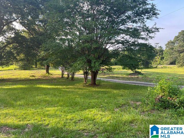 1663 County Road 2 Montevallo, AL 35115 - Photo 36 of 46