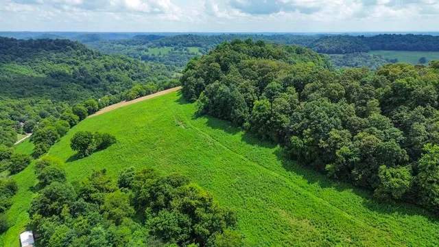 a view of a garden with a building in the background