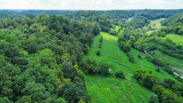 a view of a lush green space with sea