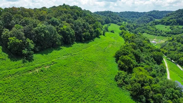 a view of a garden with a building in the background
