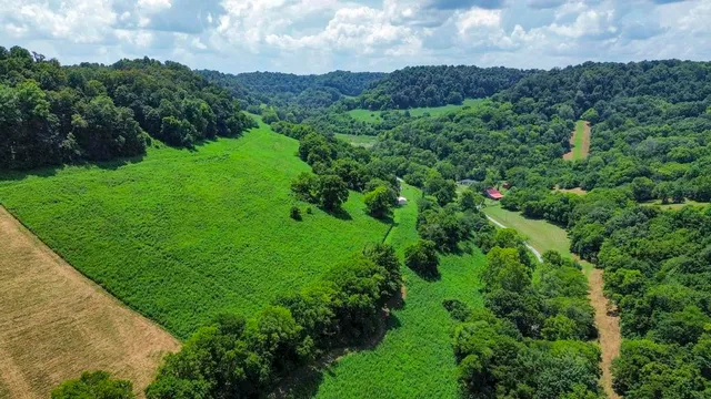 a view of a green field with lots of bushes