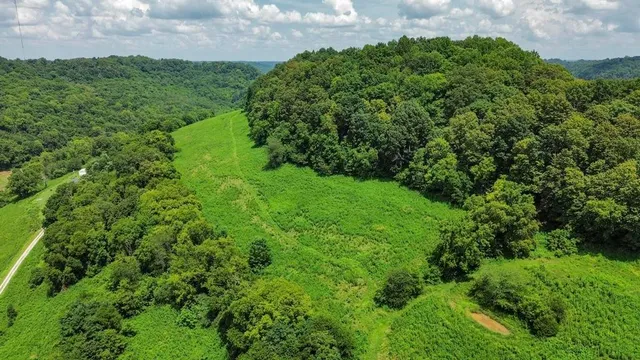 a backyard of a house with lots of green space