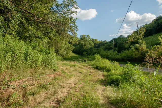 a backyard of a house with lots of green space