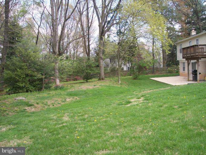 1311 Marchmont Court Reston, VA 20190 - Photo 29 of 30 Beautiful 1/2 acre - Back yard