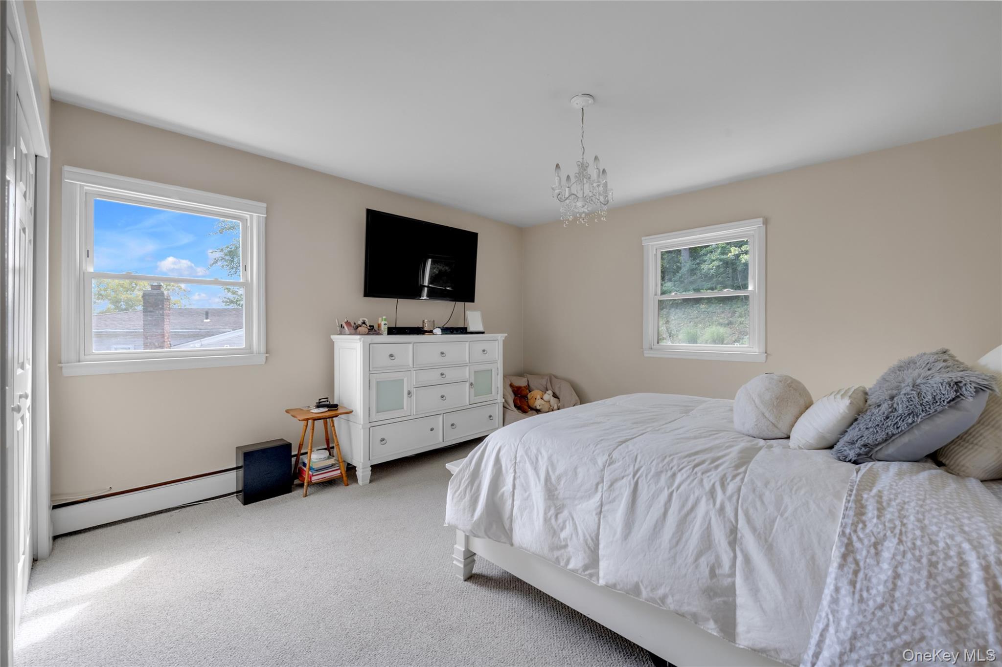 67 Reed Drive Roslyn, NY 11576 - Photo 18 of 28 Gallery Image 18