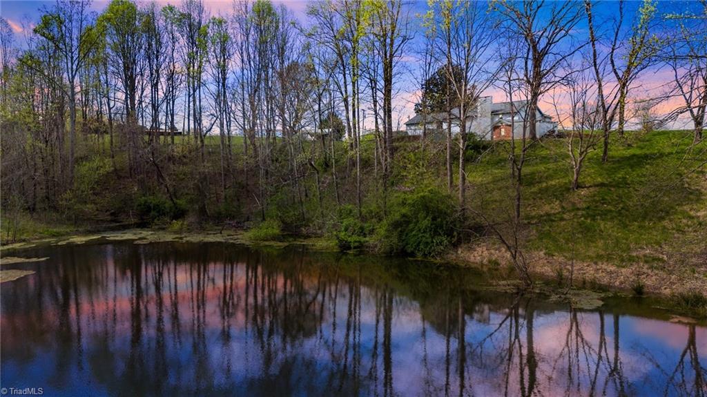 1066 Buck Fork Road Dobson, NC 27017 - Photo 4 of 50 Gallery Image 4