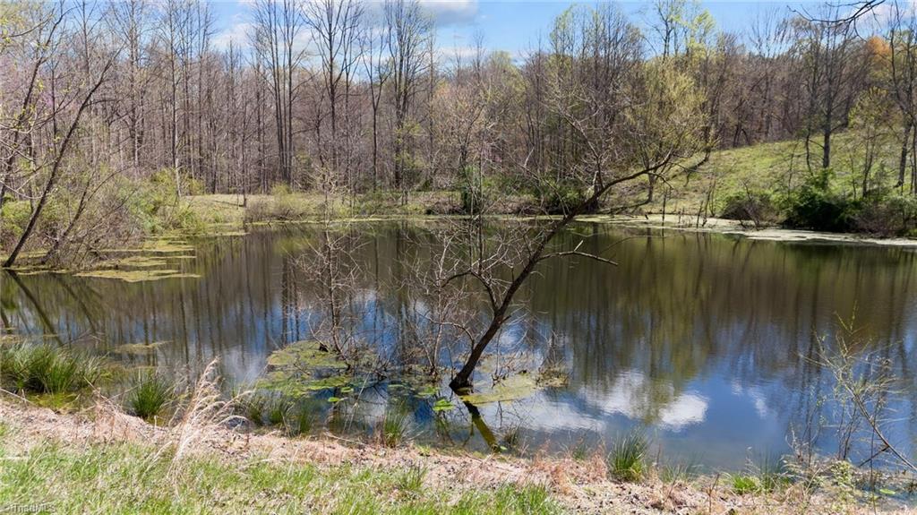 1066 Buck Fork Road Dobson, NC 27017 - Photo 43 of 50 Gallery Image 43