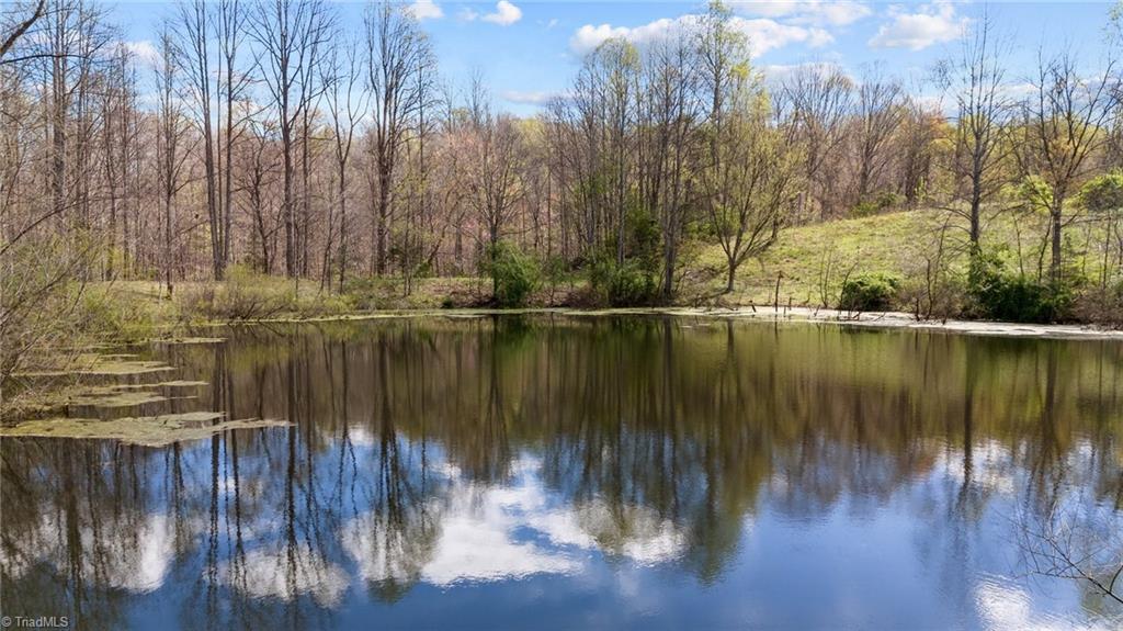 1066 Buck Fork Road Dobson, NC 27017 - Photo 10 of 50 Gallery Image 10