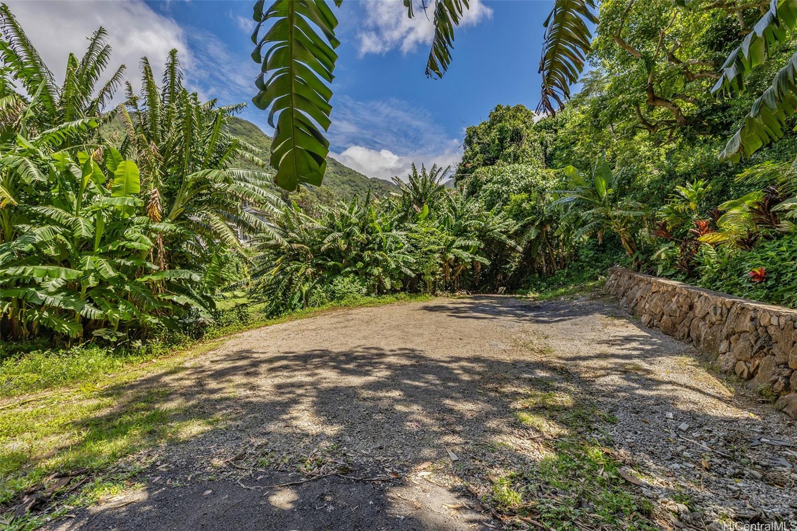 2640 Lai Road, Unit E Honolulu, HI 96816 - Photo 3 of 25 a view of a yard with plants and trees