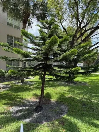 $2,400 | 1811 Sabal Palm Drive, Unit 405, Davie, FL 33324
