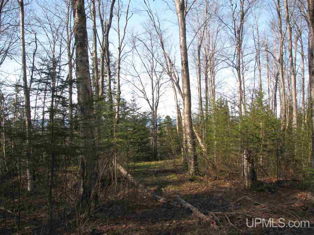 Tbd County Rd H-58 Grand Marais, MI 49839 - Photo 8 of 11